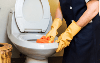 Removing Rust Stains from Toilets