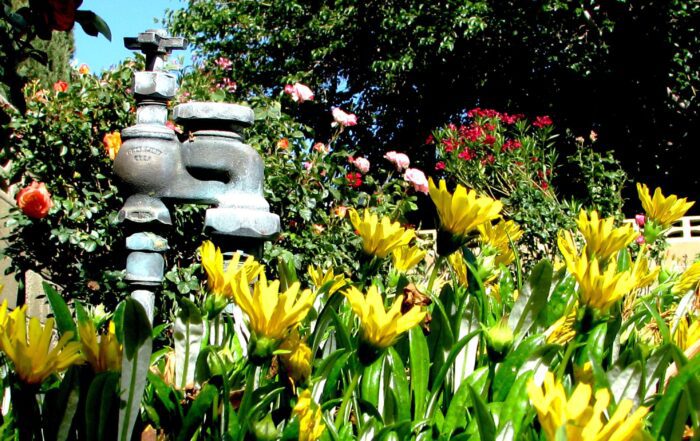 Spring Plumbing Maintenance 3
