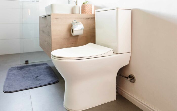 types of toilets